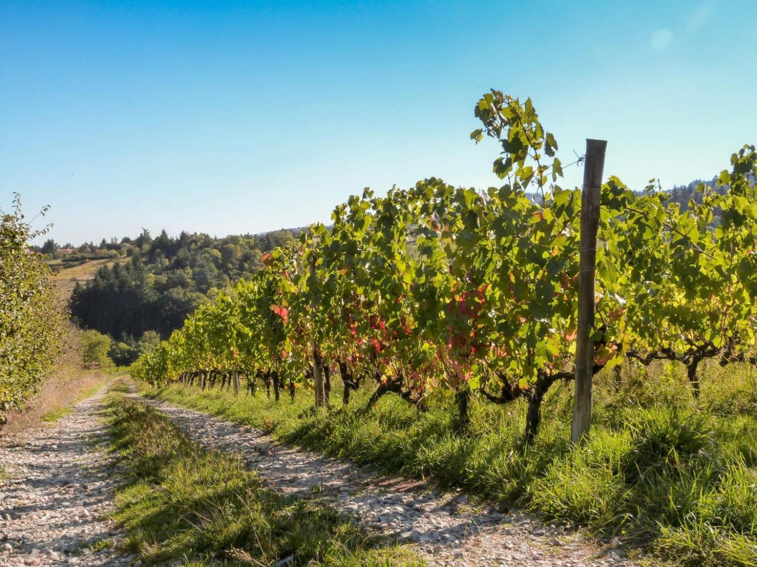 Gites Les Pittoresques Saint-Jean-Saint-Maurice-sur-Loire Ngoại thất bức ảnh